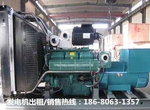 景德镇发电机服务全解 从出租到生产组装，再到配件销售与维修